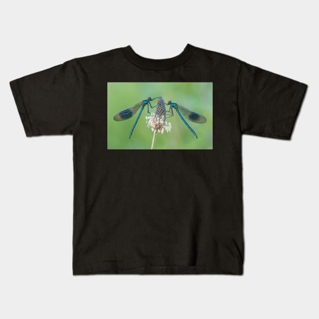 Two Male Banded Demoiselles on Plantain Stalk Kids T-Shirt by TonyNorth